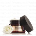 Japanese Camelia Bdy Cream 350Ml
