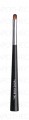Brush Lipstick Concealer