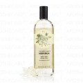 Moringa Body Mist 100Ml