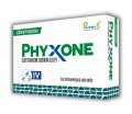 Phyxone IV Inj 500mg  1's
