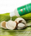 Charm Natural Lushtress Daily Conditioning Shampoo with Rosemary & Lavender 250ml