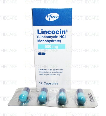 lincocin 500 mg tablet
